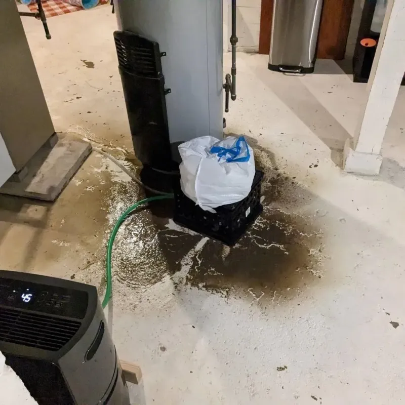 Sewage Backup Cleanup Service in Noxubee County, MS